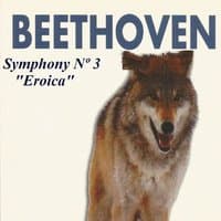 Beethoven - Symphony Nº 3 "Eroica"