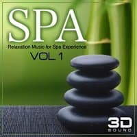 SPA 3D Relaxation Music Experience, Vol. 1