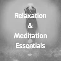 Relaxation & Meditation Essentials