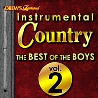 Instrumental Country: The Best of the Boys, Vol. 2