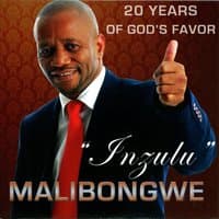 Inzulu (20 Years Of God's Favor)