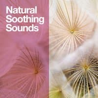 Natural Soothing Sounds