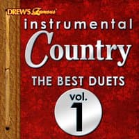 Instrumental Country: The Best Duets, Vol. 1