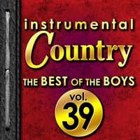 Instrumental Country: The Best of the Boys, Vol. 39