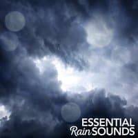 Essential Rain Sounds