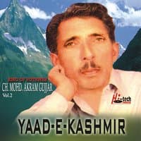 Yaad-e-Kashmir Vol. 2 - Pothwari Ashairs