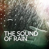 The Sound of Rain