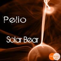 Solar Bear