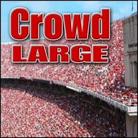 Crowd - Large: Sound Effects