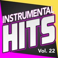 Instrumental Hits, Vol. 22