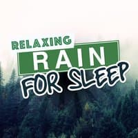 Relaxing Rain for Sleep