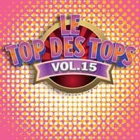 Le Top des Tops des années 80 / 90, Vol. 15