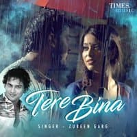 Tere Bina - Single