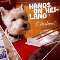 Hands on Heiland