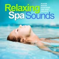 Relaxing Spa Sounds, Vol. 3