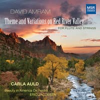 Theme and Variations on Red River Valley for Flute and Strings: Theme and Variations on Red River Valley  (for Flute and Strings)