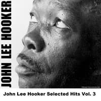 John Lee Hooker Selected Hits Vol. 3