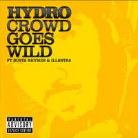 Crowd Goes Wild (feat. Busta Rhymes & Illestr8) (Radio)