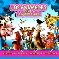 Asnos Salvajes-Carnaval de los Animales