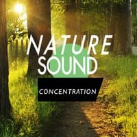 Nature Sound Concentration