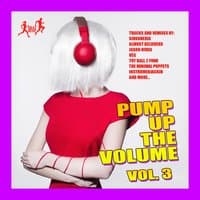 Pump up the Volume, Vol. 3