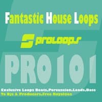 Fantastic House Loops