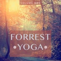 Forrest Yoga, Vol. 1