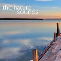 The Nature Sounds