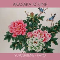 Yurushitene - Kayo