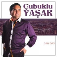 Çubuk Ovası