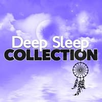 Deep Sleep Collection