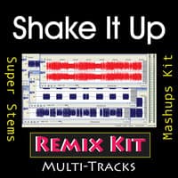 Shake It Up (Multi Tracks Tribute to Selena Gomez)