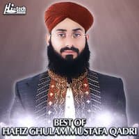 Best of Hafiz Ghulam Mustafa Qadri