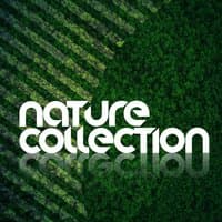 Nature Collection