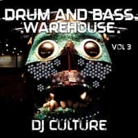 Drum and Bass Warehouse, Vol. 3