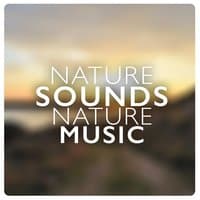 Nature Sounds: Nature Music