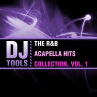 The R&B Acapella Hits Collection, Vol. 1