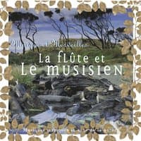 La flûte du musicien