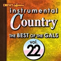 Instrumental Country: The Best of the Gals, Vol. 22