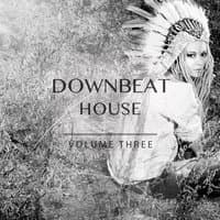 Downbeat House, Vol. 3