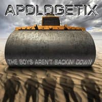 The Boys Aren't Backin' down - Standard Edition