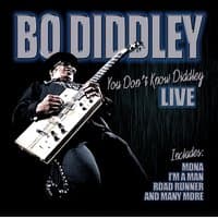 You Don't Know Diddley