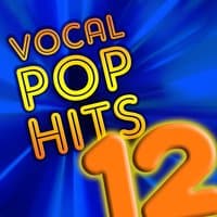 Vocal Pop Hits, Vol. 12