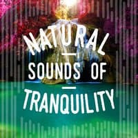 Natural Sounds of Tranquility