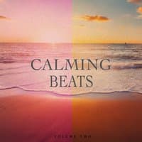 Calming Beats, Vol. 2