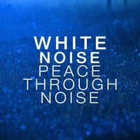 White Noise: Peace Through Noise