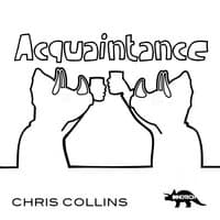 Acquaintance