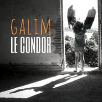 Le condor