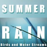 Summer Rain, Birds and Water Streams