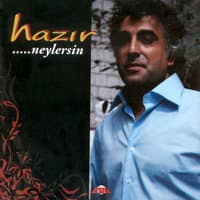 Neylersin